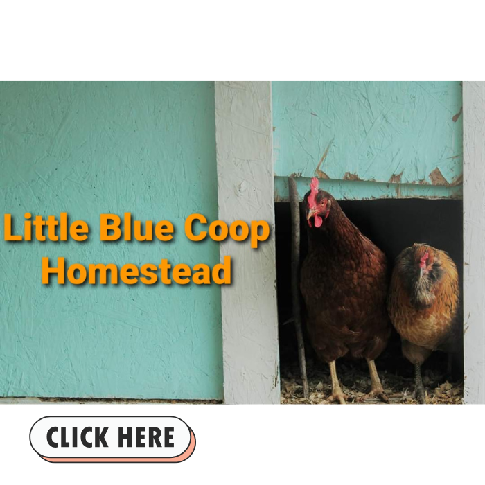 Little Blue Coop Homestead